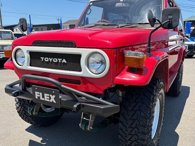 1998 Toyota LAND CRUISER 70 照片 10