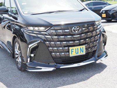 2025 Toyota ALPHARD 照片 11