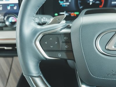 2024 Lexus LM 照片 22