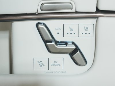 2024 Lexus LM 照片 47