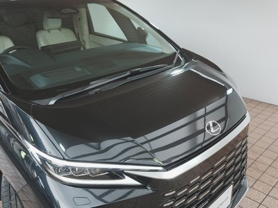 2024 Lexus LM 照片 12