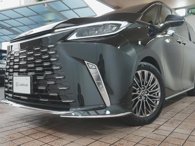 2024 Lexus LM 照片 57