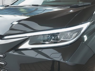 2024 Lexus LM 照片 61