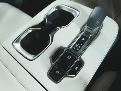 2024 Lexus LM 照片 30