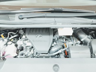 2024 Lexus LM 照片 13
