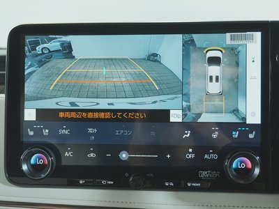 2024 Lexus LM 照片 28