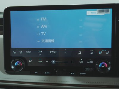2024 Lexus LM 照片 27