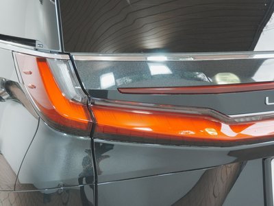 2024 Lexus LM 照片 66