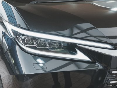 2024 Lexus LM 照片 60