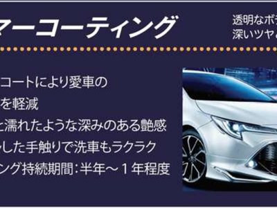 2024 Lexus LM 照片 78