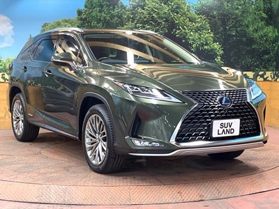 2021 Lexus RX photo 16