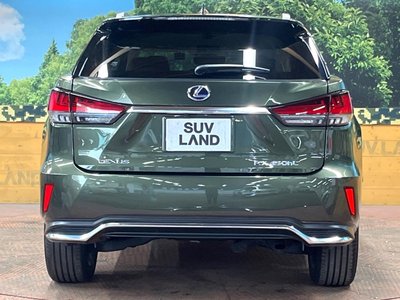 2021 Lexus RX photo 15