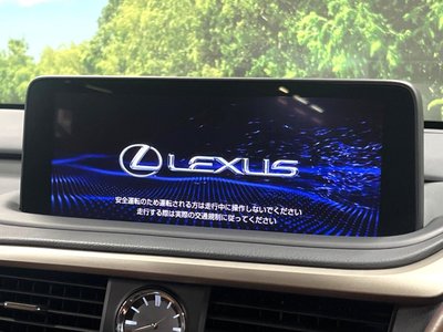 2021 Lexus RX photo 3