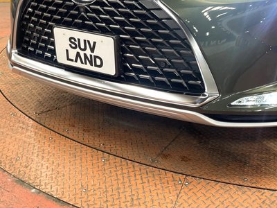 2021 Lexus RX thumbnail 69