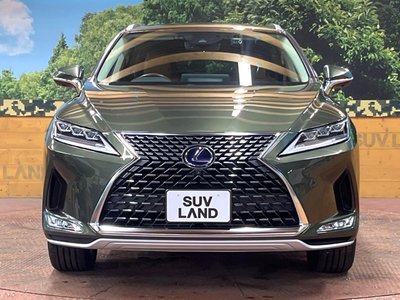 2021 Lexus RX photo 14