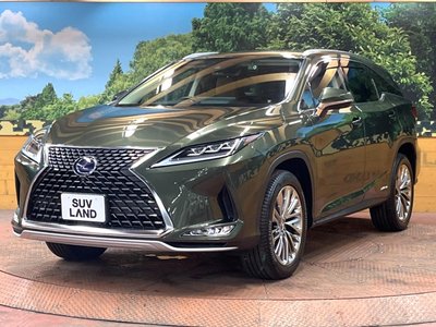 2021 Lexus RX thumbnail 70