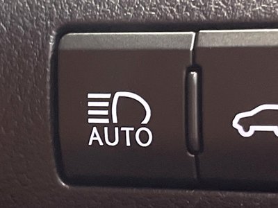 2021 Lexus RX thumbnail 44