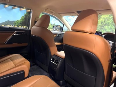 2021 Lexus RX thumbnail 30