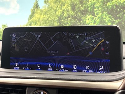 2021 Lexus RX thumbnail 48