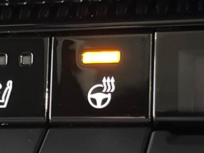 2024 Toyota LAND CRUISER 250 thumbnail 50