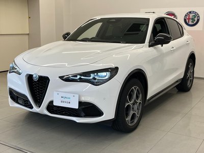 2025 ALFA Romeo STELVIO — фото 8