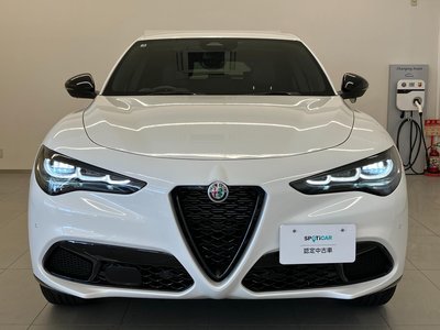 2025 ALFA Romeo STELVIO — фото 5