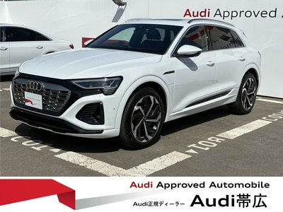 2025 AUDI Q8 E-TRON photo 1