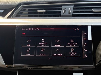 2025 AUDI Q8 E-TRON 缩略图 28
