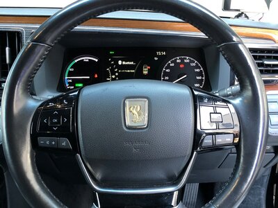 2019 Toyota CENTURY 照片 10