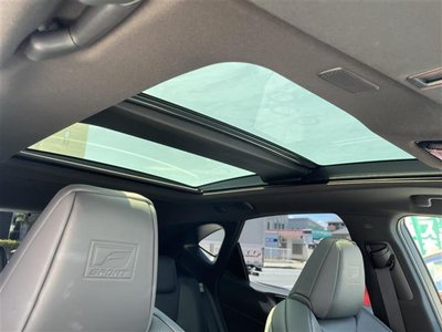 2024 Lexus NX 缩略图 13