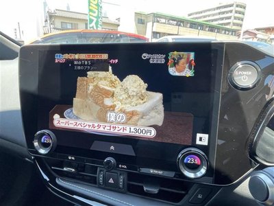2024 Lexus NX 缩略图 10