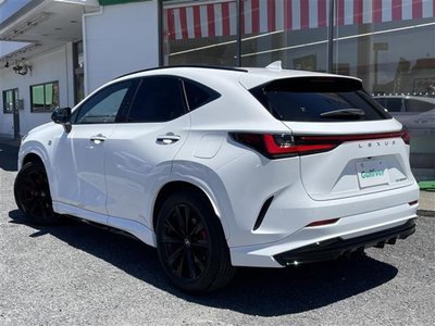 2024 Lexus NX 缩略图 39