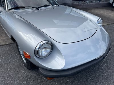 1979 ALFA Romeo ALFA SPIDER 照片 8