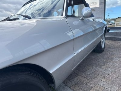 1979 ALFA Romeo ALFA SPIDER 照片 10