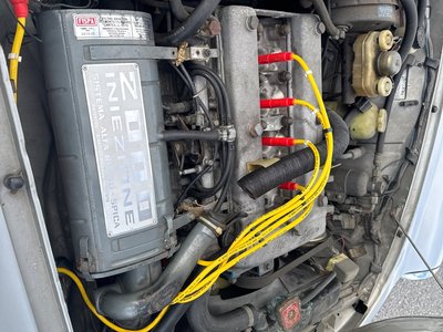 1979 ALFA Romeo ALFA SPIDER 照片 20