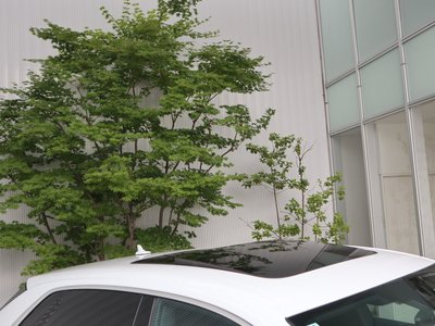 2024 AUDI Q8 — миниатюра 5
