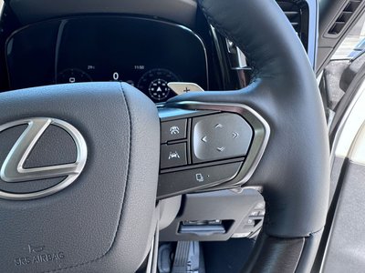 2025 Lexus LM 缩略图 25