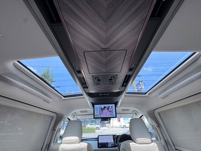2025 Lexus LM 缩略图 50