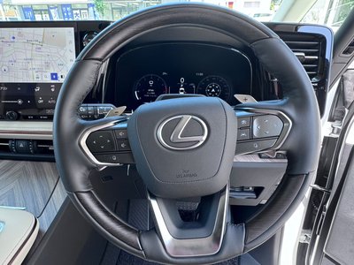 2025 Lexus LM 缩略图 23