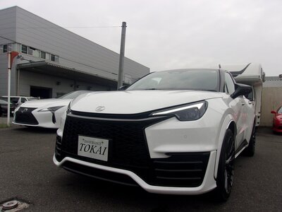 2025 Lexus LBX photo 1