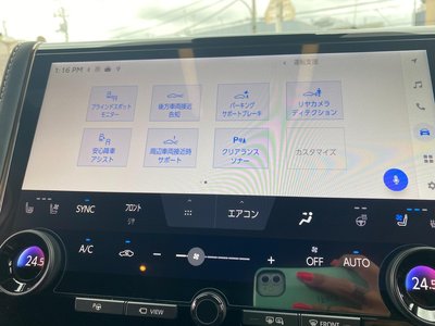 2025 Toyota ALPHARD — фото 29