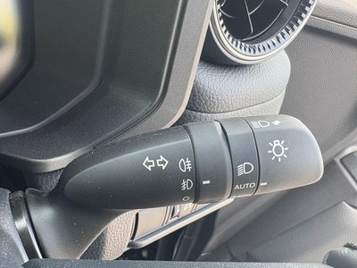 2026 Toyota LAND CRUISER 250 照片 34