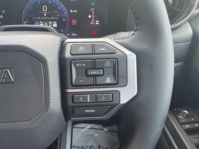 2026 Toyota LAND CRUISER 250 照片 31