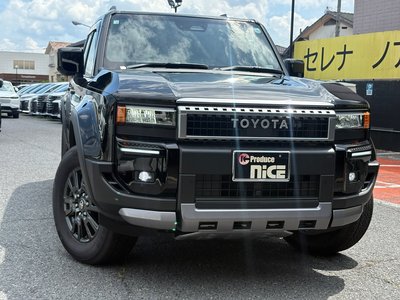 2026 Toyota LAND CRUISER 250 照片 10