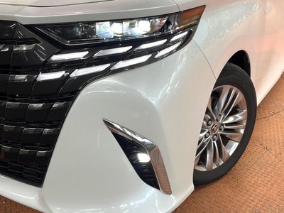 2024 Toyota ALPHARD 照片 14
