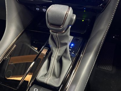 2024 Toyota ALPHARD 照片 47