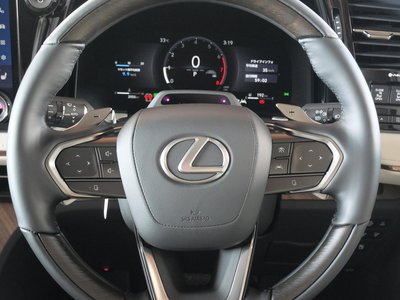 2025 Lexus LM photo 7