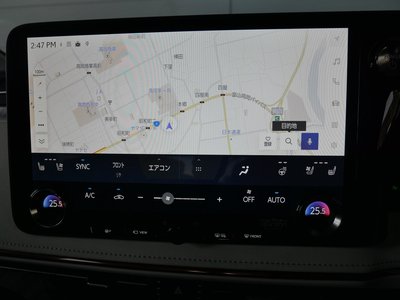2025 Lexus LM photo 9