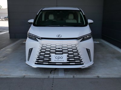 2025 Lexus LM photo 5