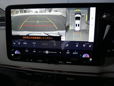 2025 Lexus LM photo 10